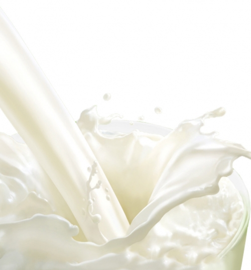 польза молока, молоко польза, польза и вред молока, молоко польза или вред, вред молока, молоко вред, молоко польза или вред, молоко польза и вред, молоко